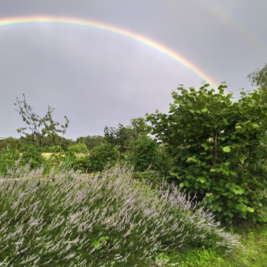 Appartamento La Mezzabulle Chapaize Esterno foto